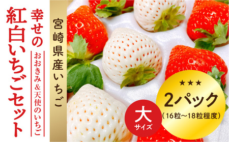 宮崎県産 イチゴ 幸せの紅白いちごセット おおきみ&天使のいちご 大サイズ2パック(16粒～18粒程度) いちご 苺 果物 期間・数量限定