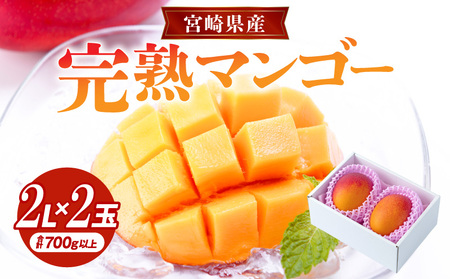 《2024年発送》宮崎県産完熟マンゴー 2L×2玉(計 約700g以上) マンゴー 宮崎マンゴー 完熟マンゴー みやざきマンゴー