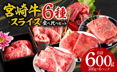 宮崎牛スライス6種食べ比べセット(計600g) 牛肉 宮崎牛