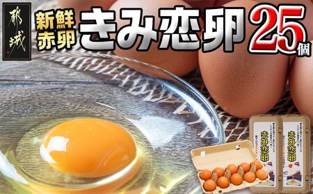 新鮮赤卵「きみ恋卵」25個_LE-2901_(都城市) 赤卵 きみ恋卵 Mサイズ 25個 30個 卵かけご飯 ゆで卵 お菓子作り