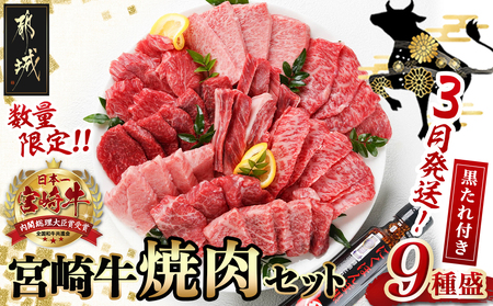 数量限定】宮崎牛9種盛り焼肉セット_22-3101_(都城市) 宮崎牛 ラムシン