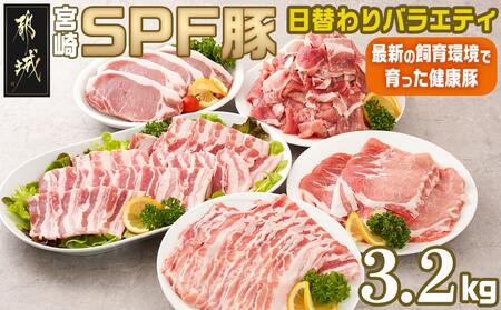 「宮崎SPF豚 」日替わりバラエティ3.2kgセット_16-K901_(都城市) 宮崎県産豚 小間切れ ロース 肩ローススライス バラ ステーキ 焼肉 しゃぶしゃぶ 真空