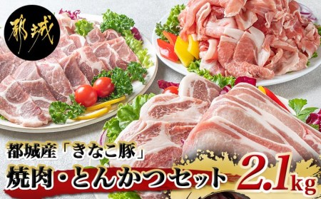 「きなこ豚」焼肉・とんかつセット 計2.1kg_MJ-1204_(都城市) ブランド豚 豚カツ用 トンカツ用(ロース / 肩ロース) 焼き肉用 (豚バラ / 豚肩ロース) 切り落とし 小間切れ