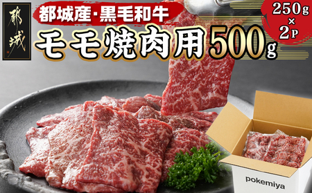 黒毛和牛モモ焼肉用500g_14-3302_ (都城市) 都城産黒毛和牛 モモ 250g×2P 黒毛和牛 牛肉 焼肉 小分け 真空パック 冷凍