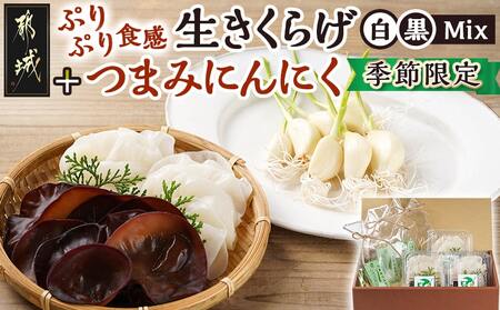 ≪季節限定!≫ぷりぷり食感の生きくらげ(白&黒Mix)+つまみにんにくセット_11-C902_(都城市)生きくらげ 黒きくらげ 白きくらげ 130g×3パック つまみにんにく スーパーフード