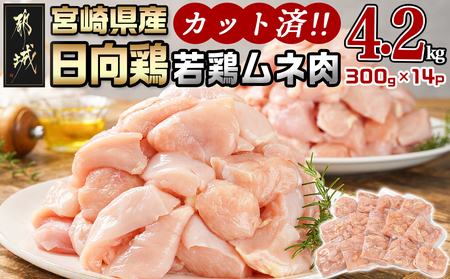 日向鶏 若鶏ムネ肉カット済4.2kg_MJ-1562_(都城市) ムネ肉 4.2kg 宮崎県産 日向鶏若鶏 大容量 冷凍 唐揚げ チキン南蛮