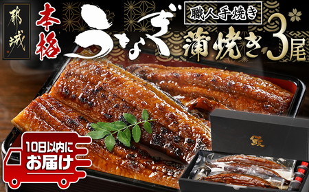 職人手焼きの本格うなぎ蒲焼き3尾≪みやこんじょ特急便≫_AC-3301-Q_(都城市) 鰻蒲焼 3尾 (総重量450g以上) タレ付き (30ml×3個) 国産うなぎの蒲焼き 特製たれ付き 冷凍 ウナギ かば焼き