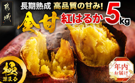 [年内お届け]都城産 長期熟成紅はるか 5kg≪2024年12月20日〜31日お届け≫_AA-I202-HNY_(都城市) 都城産さつまいも 熟成紅はるか 5kg 長期熟成 スイーツ