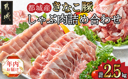 [年内お届け]「きなこ豚」しゃぶしゃぶ詰合せ2.5kg≪2024年12月20日〜31日お届け≫_MA-1202-HNY_(都城市) ブランド豚 銘柄の柔らかい豚肉 安心・安全・新鮮 豚バラ 豚肩ロース こま切れ 小間切れ 薄切り 豚しゃぶ 鍋物