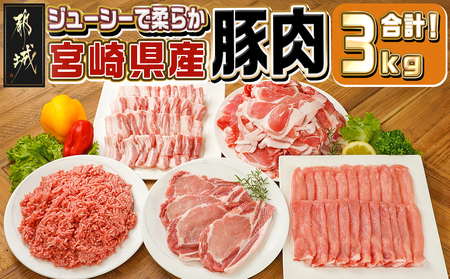 宮崎県産豚肉3kgセット_MJ-M601_(都城市) 宮崎県産豚肉 ローススライス ロース又は肩ロースカツ用 バラ焼肉用 切り落とし ミンチ