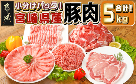 宮崎県産豚肉5kgセット_AC-M601_(都城市) 宮崎県産豚肉 5kgセット ローススライス バラスライス ロースカツ用 切り落とし ミンチ