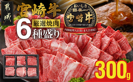 宮崎牛6種盛り焼肉食べ比べ300g