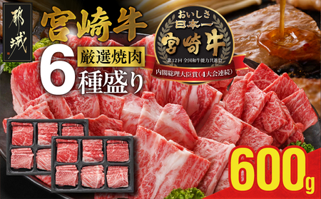 宮崎牛6種盛り焼肉食べ比べ600g_AC-N201_(都城市) 宮崎県産宮崎牛 サーロイン リブ ウデ モモ バラ 肩ロース