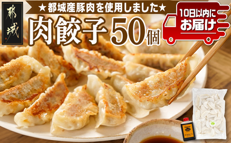 831ハチサンイチの肉餃子50個入り ≪みやこんじょ特急便≫_LF-K602-Q_(都城市) 肉餃子 都城産豚使用 柚子胡椒たれ付