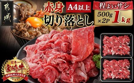 {苍Ԑg؂藎Ƃ(500g×2P)_AC-N403