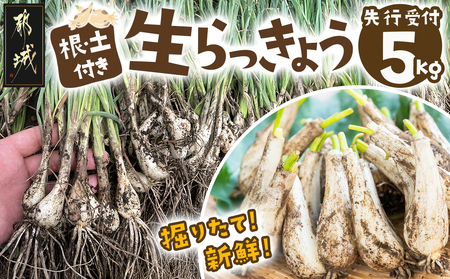 [先行受付!]掘りたて!新鮮!!根付き土付き生らっきょう5kg≪2025年5月中旬以降順次お届け≫_AA-L701_(都城市) 都城産 根付き・土付き らっきょう らっきょう漬 塩らっきょう 酢味噌和え 塩漬け 酢漬け