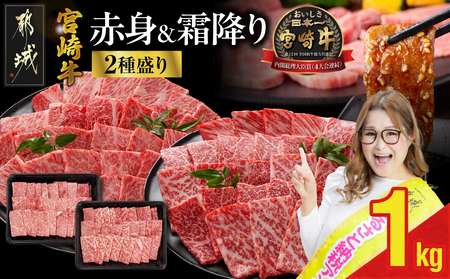 宮崎牛焼肉2種セット500g×2パック