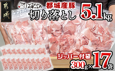 [2025年3月お届け]都城産豚切り落とし5.1kg(ジッパー付袋入り)_16-1502-2503_(都城市) 都城産 豚肉 ウデ モモ 切り落とし チャック付き 小分け 冷凍 省スペース