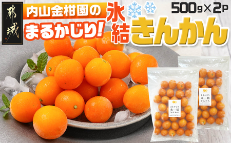 [徳用]内山金柑園のまるかじり氷結きんかん1kg(500g×2P)_12-J702_(都城市) 果物 急速冷凍 完熟きんかん 糖度16%以上 スイーツ おやつ 冷凍きんかん