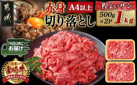 宮崎牛赤身切り落とし(500g×2P)≪みやこんじょ快速便≫_AC-N403-R_(都城市) 宮崎県産宮崎牛 赤身切り落とし モモ・カタ 500g×2P 牛肉 赤身 モモ カタ 切り落とし