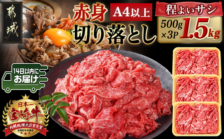 宮崎牛赤身切り落とし(500g×3P)≪みやこんじょ快速便≫_AD-N404-R_(都城市) 宮崎県産宮崎牛 赤身切り落とし モモ・カタ 500g×3P 牛肉 モモ カタ 赤身 切り落とし