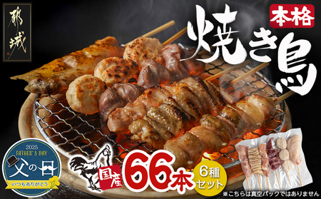 [父の日]職人串打ちの本格焼き鳥66本!!≪6月12日〜15日お届け≫_MJ-3312-FG_(都城市) 焼鳥串 生冷凍 冷凍生肉 もも 皮 手羽 小肉 砂肝 ぼんじり ねぎま ハラミ せせり つくね ふりそで 6本入り 11P 計2.1kg BBQ 父の日ギフト