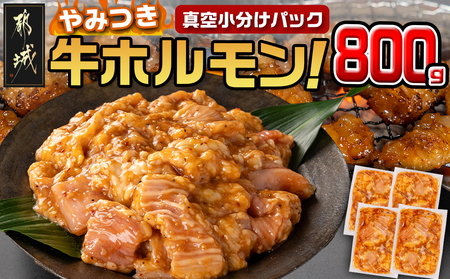 やみつき牛ホルモン800g!(真空小分け)_AA-3312_(都城市) 牛ホルモン 味付き 200g×4P 800g 小分け 真空パック