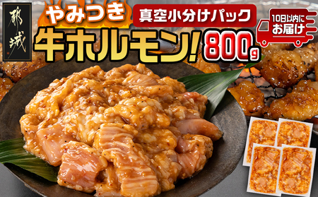 やみつき牛ホルモン800g!(真空小分け)≪みやこんじょ特急便≫_AA-3312-Q_(都城市) 牛ホルモン 味付き 200g×4P 800g 小分け 真空パック