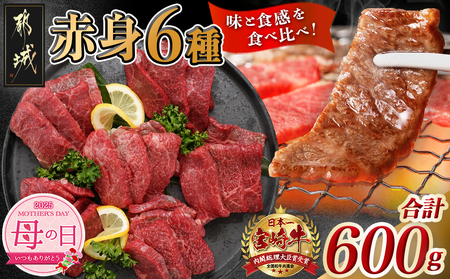 [母の日]宮崎牛赤身6種600g≪5月8日〜11日お届け≫_16-2601-MG_(都城市) 牛肉 ウデミスジ ウデ三角 ウデクリ とうがらし ウデ赤身 ウデカルビ 約100g 計600g 6種類セット赤身