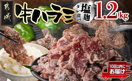牛ハラミ 塩麹タレ漬け1.2kg≪みやこんじょ特急便≫_12-3310-Q_(都城市) 味付き牛ハラミ 300gパック 真空 小分け 1200g
