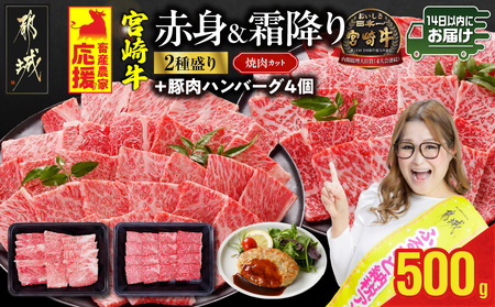 畜産農家応援! 宮崎牛焼肉2種セット250g×2パック+豚肉ハンバーグ100g×4個≪みやこんじょ快速便≫_13-N202-R-ESH_(都城市) 赤身 霜降り 食べ比べ 肩ロース ウデ モモ 焼き肉 牛肉 とろける BBQ 焼肉