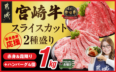 畜産農家応援! 宮崎牛スライス2種セット500g×2パック+豚肉ハンバーグ100g×4個≪みやこんじょ快速便≫_17-N201-R-ESH_(都城市) 1kg 赤身 霜降り 宮崎県産 宮崎牛 肩ロース ウデ又はモモ 牛肉 すき焼き キャンペーン