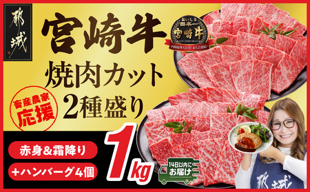 畜産農家応援! 宮崎牛焼肉2種セット500g×2パック+豚肉ハンバーグ100g×4個≪みやこんじょ快速便≫_17-N202-R-ESH_(都城市) 1kg 赤身 霜降り 肩ロース ウデ モモ 焼肉 焼き肉 BBQ 黒毛和牛 宮崎牛 ギャル曽根さんおすすめの牛肉返礼品