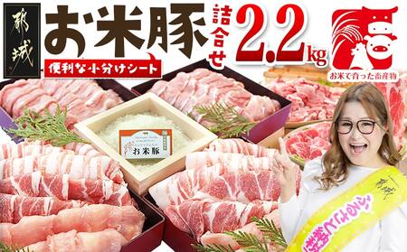 お米豚2.2kgセット_14-3101_(都城市) 豚肉 豚ロース 豚こま切れ 豚バラ肉 豚肩ロース ブランド豚 小分け スライス肉  ギャル曽根さんおすすめの豚肉返礼品