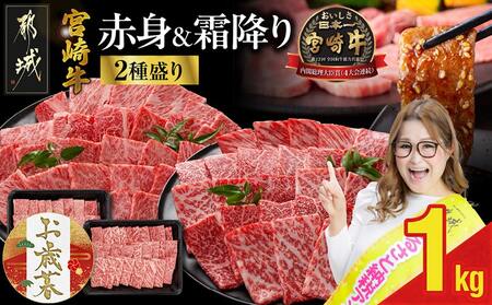 [お歳暮]宮崎牛焼肉2種セット500g×2パック≪11月17日〜12月21日お届け≫_17-N202-WG_(都城市) 赤身 霜降り 食べ比べ 肩ロース ウデ モモ 焼き肉 BBQ バーベキュー 牛肉 とろける (500g×2)1kg
