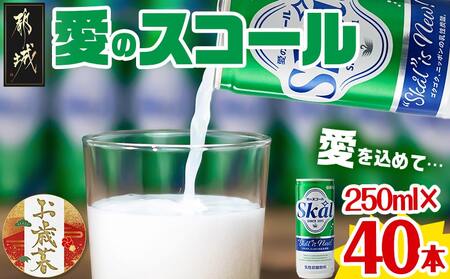 [お歳暮]『愛』を込めて・・・愛のスコール250ml×40本(2ケース)≪11月17日〜12月21日お届け≫_13-2305-WG_(都城市) 炭酸飲料 スコール 250ml 20本 2ケース