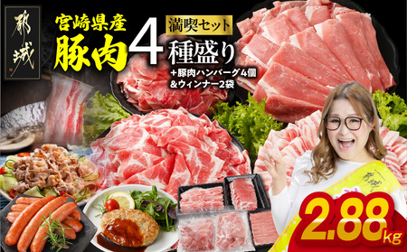 宮崎県産豚肉バラエティ2.88kgセット_14-N201-ESHW_(都城市) 宮崎県産豚 バラスライス 肩ロース又はローススライス モモスライス 小間切れ 豚肉