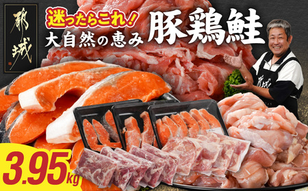 ×⏬3Zbg(ؐ؂藎Ƃ250g×5PE{Jbg300g×4PE500g×3P)_23-8401_(ss) pbN Ⓚ ٓ 