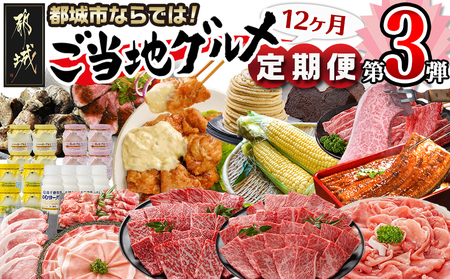 [セレクト定期便]第3弾☆都城市ご当地グルメ定期便(12ヶ月)≪2026年お届け≫