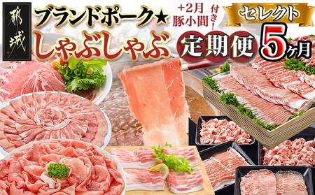 [セレクト定期便]ブランドポーク☆しゃぶしゃぶ+2月豚小間付き☆定期便(5ヶ月)≪2026年お届け≫