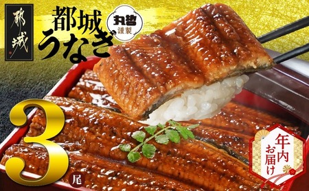 [年内お届け]宮崎県育ちのうなぎ蒲焼3尾500g以上≪山椒・たれ付≫≪2025年12月15日〜31日お届け≫