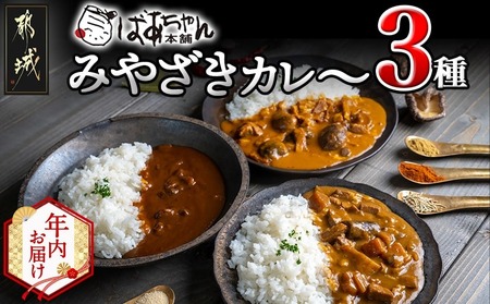 [年内お届け]みやざきカレー3種セット※ポスト投函≪2025年12月15日〜31日お届け≫