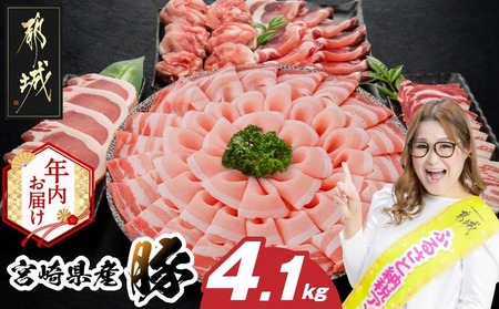 [年内お届け]宮崎県産豚わくわく4.1kgセット(真空)≪2025年12月15日〜31日お届け≫_AC-8403-s-HNY_(都城市) 豚肉 豚肉セット 宮崎県産豚 しゃぶしゃぶ バラ 焼肉 切り落とし 肩ローススライス ロース とんかつ ミンチ ギャル曽根さんおすすめの返礼品