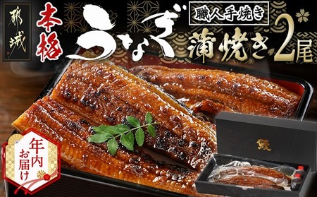 [年内お届け]職人手焼きの本格うなぎ蒲焼き2尾≪2025年12月15日〜31日お届け≫_MJ-3305-HNY_(都城市) 国産 本格 うなぎ 鰻 蒲焼 宮崎 じっくり 特製タレ 香り豊かな ふっくら 香ばしい うなぎ