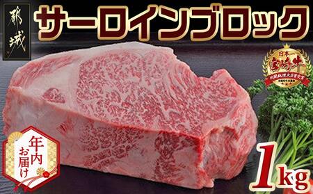 [年内お届け]宮崎牛サーロインブロック1kg≪2025年12月15日〜31日お届け≫_AF-2501-HNY_(都城市) サーロインブロック肉 1キロ 肉のながやま 自社飼育 牛肉 焼肉 ステーキ すき焼き キャンプ