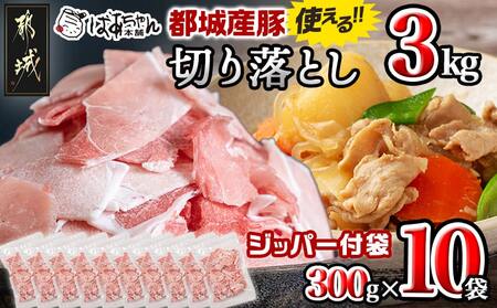 都城産豚切り落とし3kg(ジッパー付袋入り)_13-1510_(都城市) 都城豚肉 総重量3kg切落とし 300g×10パック チャック付き 小分け 冷凍 省スペース ウデ肉 モモ肉 ストック 豚肉 小分け 使いやすい 焼きそば カレー 生姜焼き 肉野菜炒め アレンジ