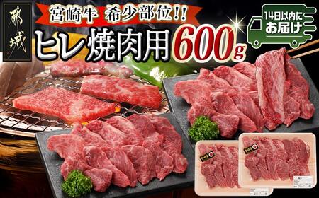宮崎牛ヒレ焼肉用600g≪みやこんじょ快速便≫_AF-8902-R_(都城市) 宮崎県産宮崎牛 ヒレ焼肉用 焼肉用カット ヒレ肉 冷凍配送
