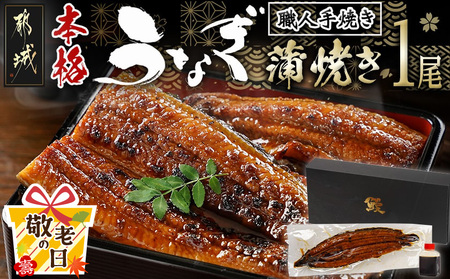 [敬老の日]職人手焼きの本格うなぎ蒲焼き1尾≪9月11日〜15日お届け≫_LG8-3310-KG_(都城市) 国産 本格 うなぎ 鰻 蒲焼 宮崎 じっくり 特製タレ 香り豊かな ふっくら 香ばしい ギフト 贈答用