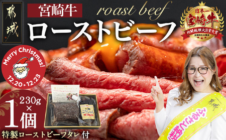 [☆クリスマス☆]宮崎牛ローストビーフ230g×1個≪12月20日〜23日お届け≫_13-2601-OJX