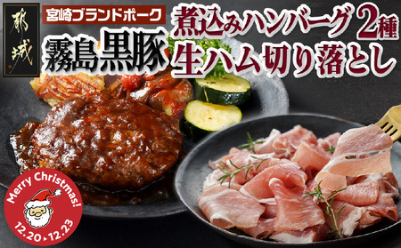 [☆クリスマス☆]霧島黒豚煮込みハンバーグ2種&生ハム切り落としセット≪12月20日〜23日お届け≫